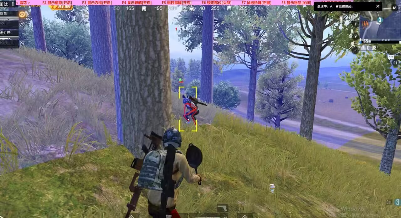 和平精英《北极熊》辅助